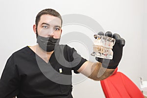 Dental clinic. Reception, examination of the patient. Teeth care. Young male dentist with jaw mockup