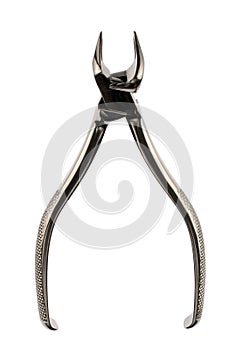 Dental forceps