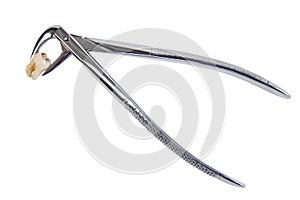 Dental forceps with tooth