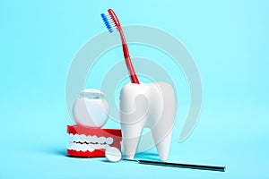 Dental health and teethcare concept. Dental mirror, human jaw model and dental floss near white tooth model with toothbrush on
