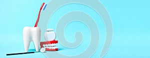 Dental health and teethcare concept. Dental mirror, human jaw model and dental floss near white tooth model with toothbrush on