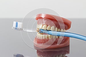 Dental hygiene and cleanliness concept