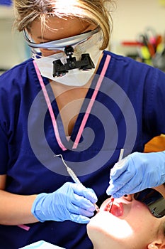 Dental Hygienist At Work