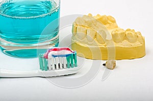 Dental Impression, Crown Implant with Toothbrush and toothpaste