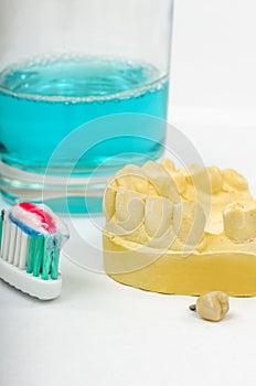 Dental Impression, Crown Implant with Toothbrush and toothpaste