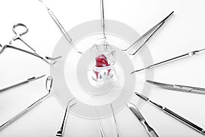 Dental instruments and model of tooth on white background