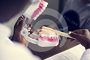 Dental jaw model demonstration for teeth