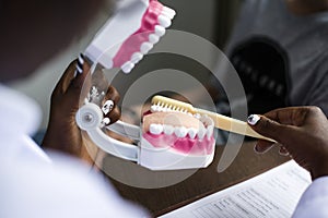 Dental jaw model hospital health