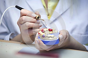 Dental Laboratory