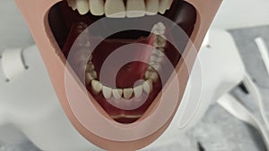 Dental mannequin for dental students with a dental splint placed on the teeth