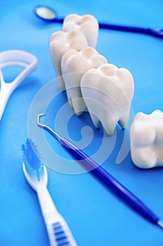 Dental model and dental equipment on blue background