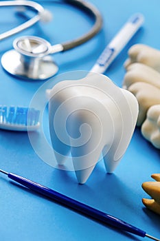 Dental model and dental equipment on blue background