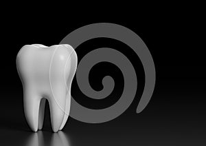 Dental model of premolar tooth on black background photo