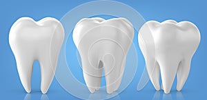 Dental model of a tooth, illustration as a concept of dental examination of teeth. photo