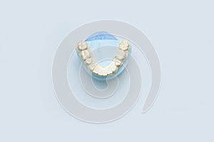 Dental mold of human teeth on light blue background for orthodontic and prosthodontic study
