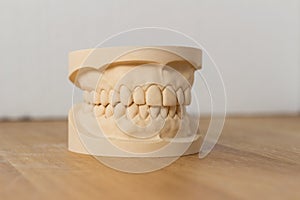 Dental mold showing a full set of teeth photo