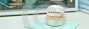 Dental prosthetic model on green tissue in dental laboratory setting with oven