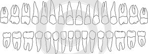 dental row