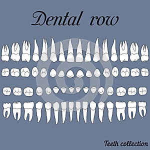 Dental row teeth