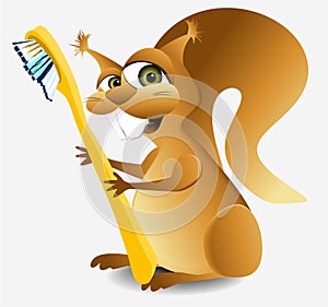 Dental squirrel