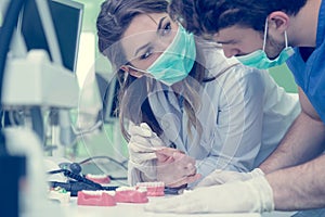 Dental students while working on the denture, false teeth.