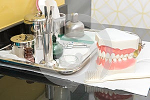Dental study model on table