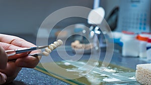 dental technician creates dental prostheses. laboratory. close-up.