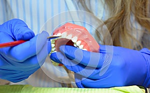 Dental technician is tinted the teeth. Hands of a specialist