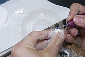 dental technician using dental burs with zirconium teeth.