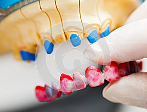 Dental Technician Working