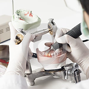 Dental technician working with articulator