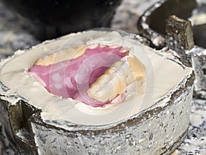 Dental technician is working with a dental flask of a complete u