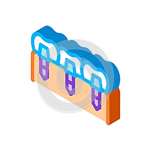 Dental Teeth Implants Biomaterial isometric icon