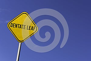 dentate leaf - yellow sign with blue sky background