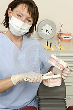 Dentist