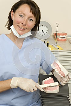 Dentist