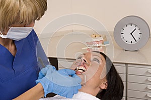 Dentist