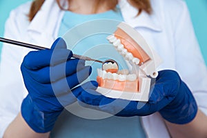 Dentist appointment, dentistry instruments and dental hygienist checkup concept with teeth model dentures and