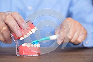 The dentist demonstrates how to brush your teeth correctly