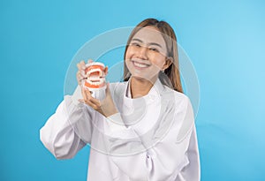 Dentist demonstrating a jaw model and a dental instrument. The notion of oral hygiene