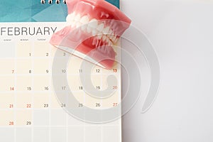 Dentist demonstration teeth model on calendar