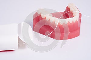 Dentist demonstration teeth model and dental floss on white back