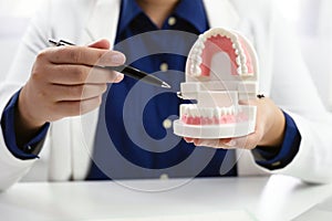 Dentist Dental check-up Dental treatment Oral treatment.