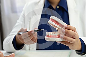 Dentist Dental check-up Dental treatment Oral treatment.