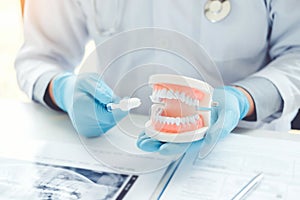 Dentist with denture learning how to teeth At dentistÃâs office photo