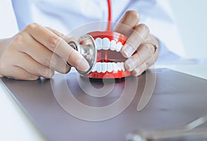 Dentist diagnose plastic teeth models with stethoscope,Concept of dental checking