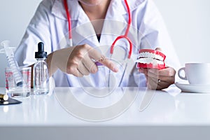 Dentist diagnose plastic teeth models with toothbrush, Concept of dental checking