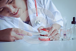 Dentist diagnose teeth model dentures with toothbrush,dental hygienist checkup concept photo