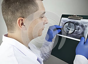 A dentist doctor examines a radiography of the teeth of a patient who has problems and teeth are inserted. The concept of research