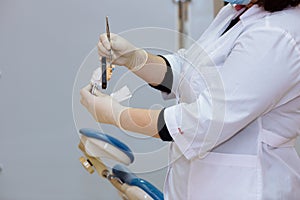 Dentist doctor hand holding sample jawbone medical tools in dental office. Concept of healthy